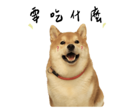 594067659
