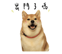 594067660