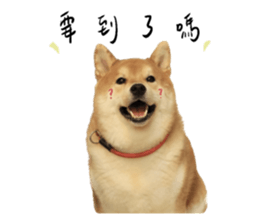 594067661