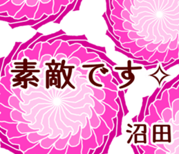 59410597
