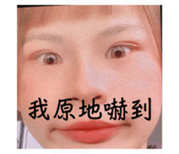 594112846