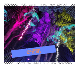 594130691