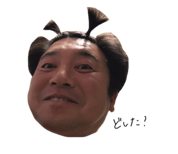 594135144