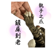 594177725