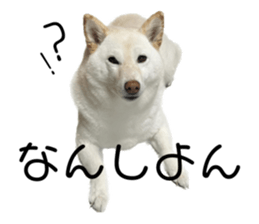 594249395