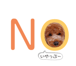 594255471