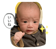 594262440