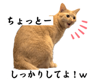 594270527