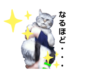 594328914