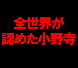 594353427