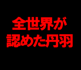594353907