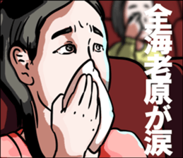 594355411