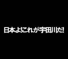 594355910