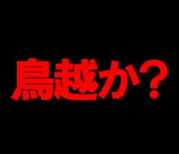 594355976