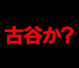 594356216