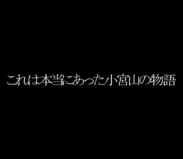 594358845
