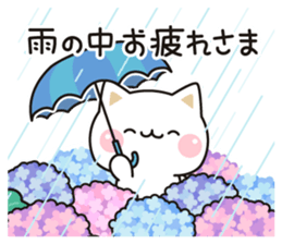 594376256