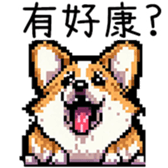 594383554