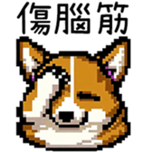 594383560