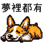594383563