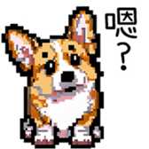 594383567