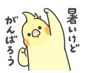 594392007