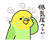 594392011