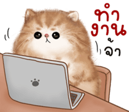 สติกเกอร์ 594409495