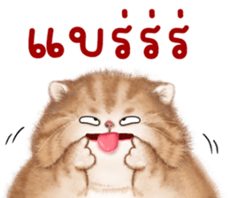 สติกเกอร์ 594409502