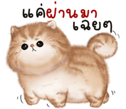 สติกเกอร์ 594409515