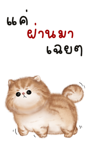594412203
