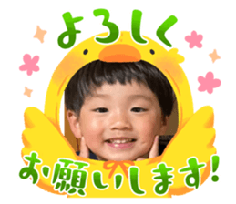 594434136