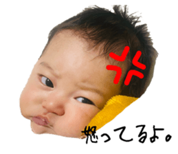 594434191