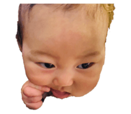 594434193