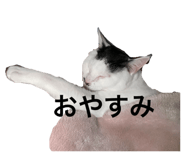 594475366