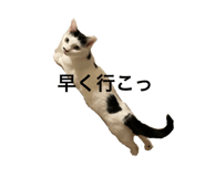 594475367