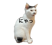 594475370