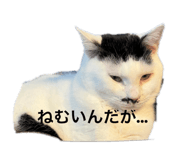 594475373