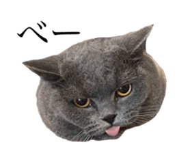 594475835