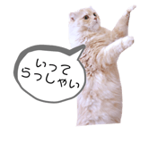 594488917