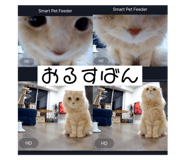 594488925