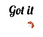 594490870
