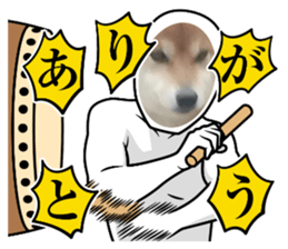 594501441