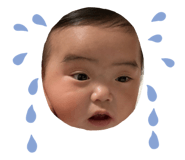 594508385