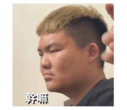 594530224