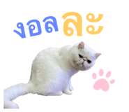 594531823
