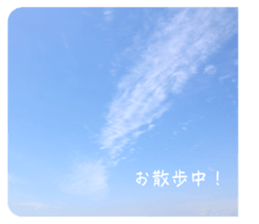 594539252