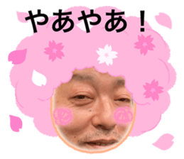 594540590