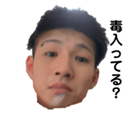 594577207