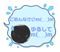 594580635